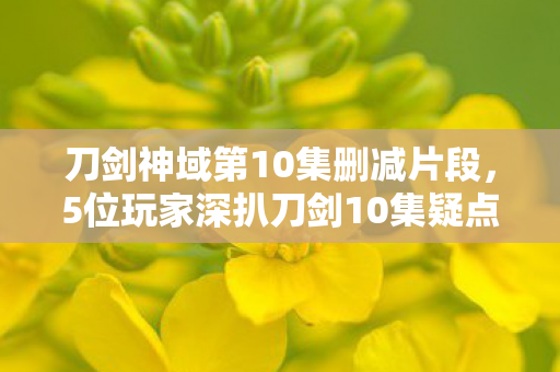 刀剑神域第10集删减片段，5位玩家深扒刀剑10集疑点，这操作谁能绷得住啊！