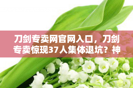 刀剑专卖网官网入口，刀剑专卖惊现37人集体退坑？神秘操作让十年老炮当场绷不住！