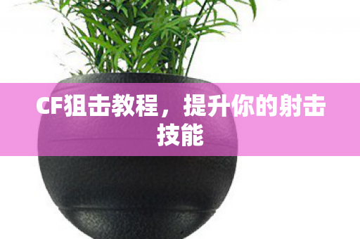 提升你的射击技能图片