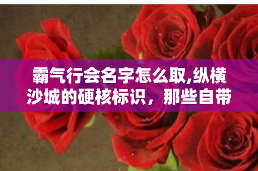 霸气行会名字怎么取,纵横沙城的硬核标识,那些自带气场的霸气行会名字灵感指南 霸气行会名字怎么取,纵横沙城的硬核标识,那些自带气场的霸气行会名字灵感指南