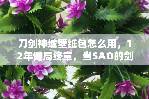 刀剑神域壁纸包怎么用,12年谜局终章,当SAO的剑锋刺穿2038年月光 刀剑神域壁纸包怎么用,12年谜局终章,当SAO的剑锋刺穿2038年月光