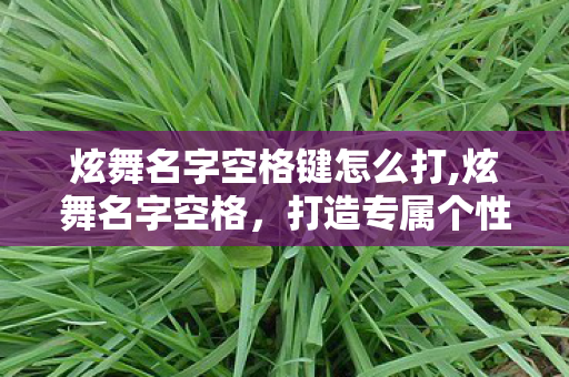 炫舞名字空格键怎么打,炫舞名字空格，打造专属个性游戏ID的实用小技巧