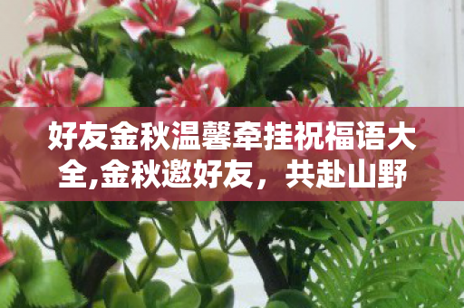 好友金秋温馨牵挂祝福语大全,金秋邀好友,共赴山野桂香之约 好友金秋温馨牵挂祝福语大全,金秋邀好友,共赴山野桂香之约