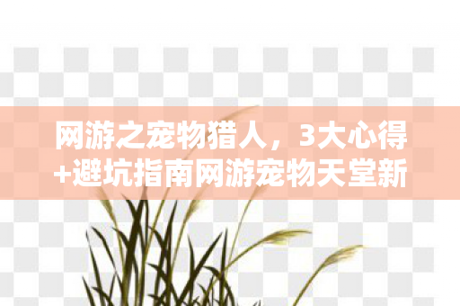 网游之宠物猎人，3大心得+避坑指南网游宠物天堂新手必看！少走90%弯路