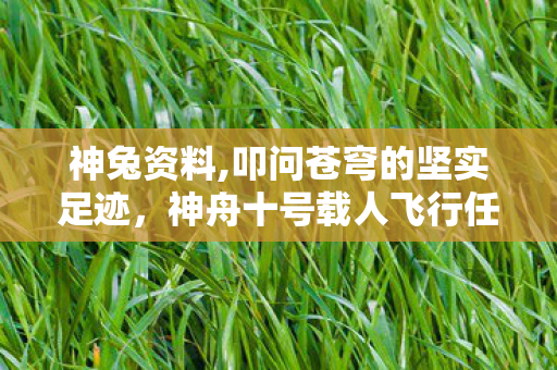 神兔资料,叩问苍穹的坚实足迹，神舟十号载人飞行任务核心纪实