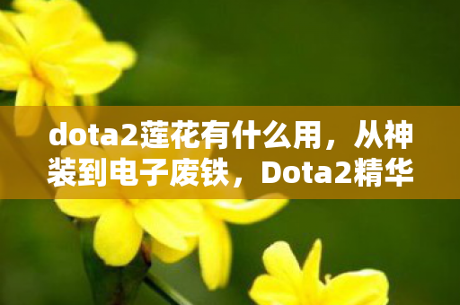dota2莲花有什么用,从神装到电子废铁,Dota2精华的落差真相,笑着笑着就哭了 dota2莲花有什么用,从神装到电子废铁,Dota2精华的落差真相,笑着笑着就哭了