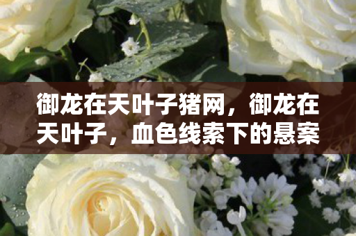 御龙在天叶子猪网,御龙在天叶子,血色线索下的悬案,毛骨悚然终局竟是我自己 御龙在天叶子猪网,御龙在天叶子,血色线索下的悬案,毛骨悚然终局竟是我自己