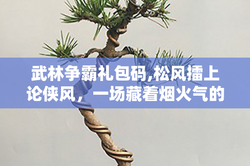 武林争霸礼包码,松风擂上论侠风，一场藏着烟火气的武林争霸