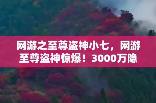网游之至尊盗神小七，网游至尊盗神惊爆！3000万隐情曝光，玩家吓一跳的真相！