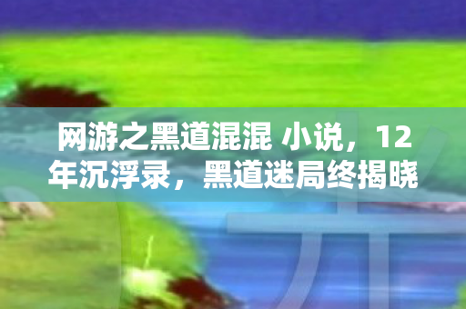 网游之黑道混混 小说，12年沉浮录，黑道迷局终揭晓，泪目见证传奇谢幕
