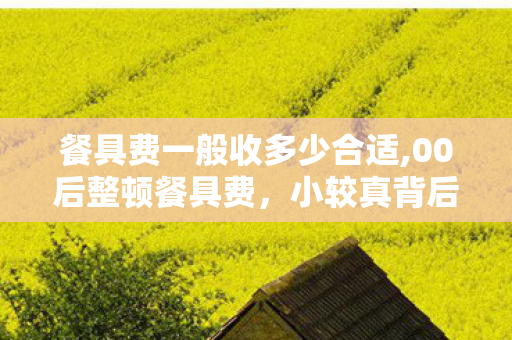 餐具费一般收多少合适,00后整顿餐具费，小较真背后的消费新风向