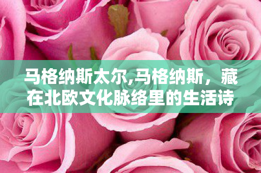 马格纳斯太尔,马格纳斯，藏在北欧文化脉络里的生活诗意