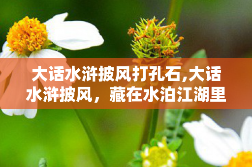 大话水浒披风打孔石,大话水浒披风，藏在水泊江湖里的专属浪漫印记