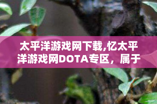 太平洋游戏网下载,忆太平洋游戏网DOTA专区，属于初代刀友的热血青春存档