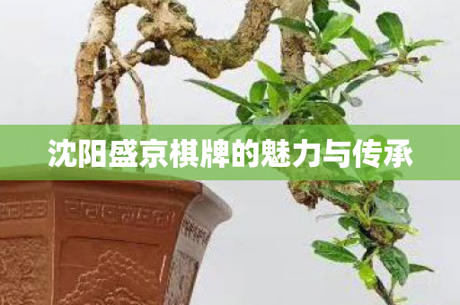 沈阳盛京棋牌的魅力与传承图片