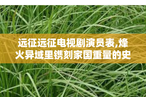 远征远征电视剧演员表,烽火异域里镌刻家国重量的史诗叙事