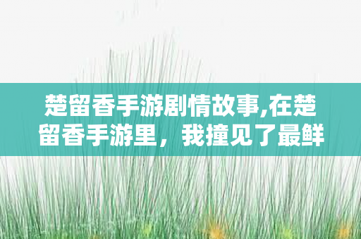 楚留香手游剧情故事,在楚留香手游里，我撞见了最鲜活的烟火江湖