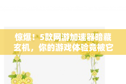 惊爆！5款网游加速器暗藏玄机，你的游戏体验竟被它操控？