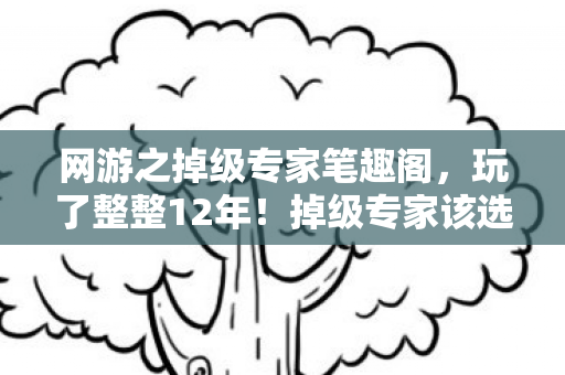 网游之掉级专家笔趣阁，玩了整整12年！掉级专家该选新玩法还是守旧情怀？