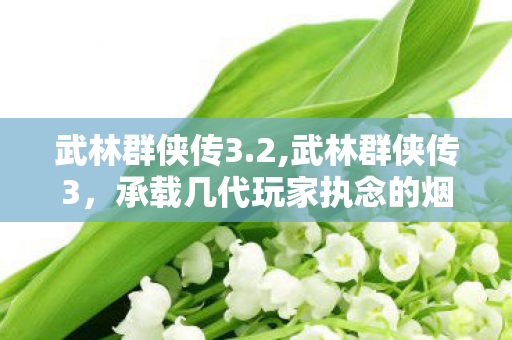 武林群侠传3.2,武林群侠传3，承载几代玩家执念的烟火江湖新篇