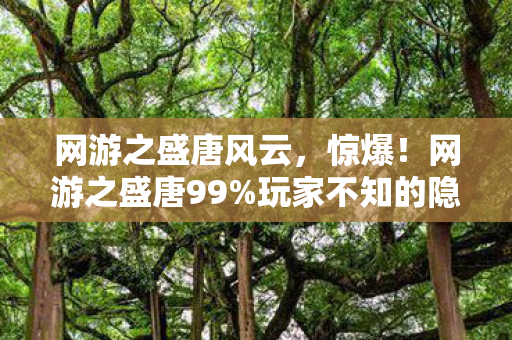 网游之盛唐风云，惊爆！网游之盛唐99%玩家不知的隐藏剧情，泪目结局！
