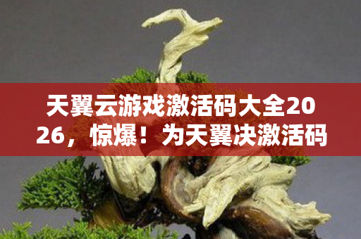 天翼云游戏激活码大全2026，惊爆！为天翼决激活码狂砸18万，老婆签离婚协议我才吓一跳！