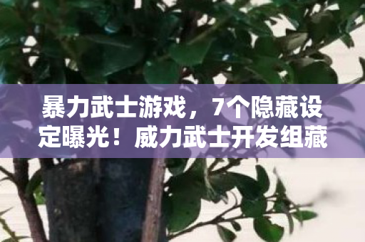 暴力武士游戏，7个隐藏设定曝光！威力武士开发组藏了8年的真相让人泪目