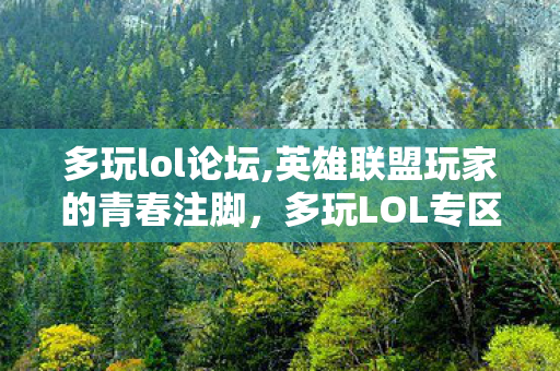 多玩lol论坛,英雄联盟玩家的青春注脚，多玩LOL专区的旧日时光与情怀印记