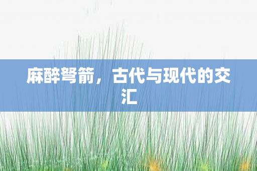 古代与现代的交汇图片