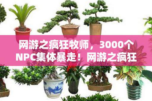 网游之疯狂牧师，3000个NPC集体暴走！网游之疯狂NPC背后藏着什么惊天秘密？