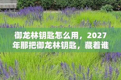 御龙林钥匙怎么用，2027年那把御龙林钥匙，藏着谁未赴的约，让我鼻子一酸