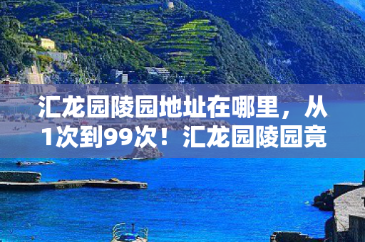 汇龙园陵园地址在哪里，从1次到99次！汇龙园陵园竟让我在生死间反复横跳？