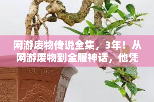 网游废物传说全集,3年!从网游废物到全服神话,他凭什么逆天改命? 网游废物传说全集,3年!从网游废物到全服神话,他凭什么逆天改命?