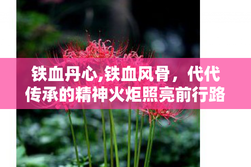 铁血丹心,铁血风骨，代代传承的精神火炬照亮前行路