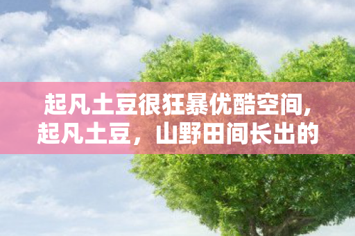 起凡土豆很狂暴优酷空间,起凡土豆,山野田间长出的家常好滋味 起凡土豆很狂暴优酷空间,起凡土豆,山野田间长出的家常好滋味