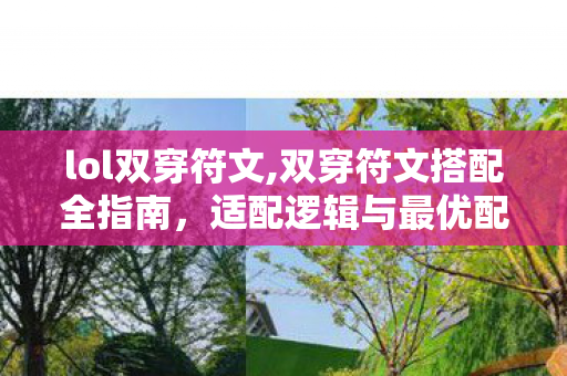 lol双穿符文,双穿符文搭配全指南,适配逻辑与最优配置方案解析 lol双穿符文,双穿符文搭配全指南,适配逻辑与最优配置方案解析
