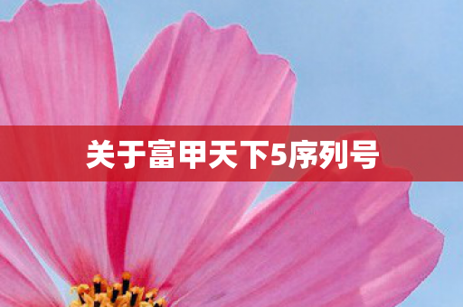 关于富甲天下5序列号图片