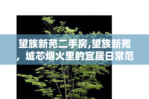 望族新苑二手房,望族新苑,城芯烟火里的宜居日常范本 望族新苑二手房,望族新苑,城芯烟火里的宜居日常范本