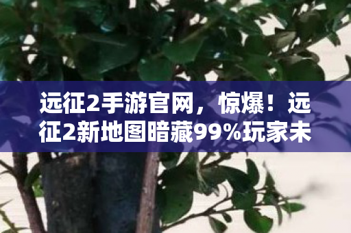 远征2手游官网,惊爆!远征2新地图暗藏99%玩家未知的致命危机?心跳加速! 远征2手游官网,惊爆!远征2新地图暗藏99%玩家未知的致命危机?心跳加速!