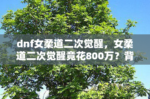 dnf女柔道二次觉醒,女柔道二次觉醒竟花800万?背后隐情曝光,真相让人吓一跳! dnf女柔道二次觉醒,女柔道二次觉醒竟花800万?背后隐情曝光,真相让人吓一跳!