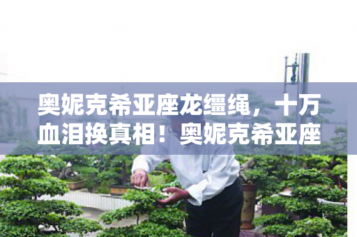 奥妮克希亚座龙缰绳,十万血泪换真相!奥妮克希亚座龙竟是氪金黑洞?这操作让我吓一跳! 奥妮克希亚座龙缰绳,十万血泪换真相!奥妮克希亚座龙竟是氪金黑洞?这操作让我吓一跳!