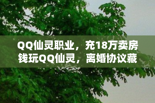 QQ仙灵职业，充18万卖房钱玩QQ仙灵，离婚协议藏隐情，真让人吓一跳！