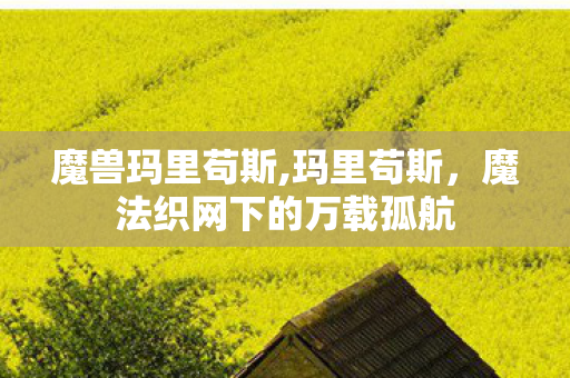 魔兽玛里苟斯,玛里苟斯，魔法织网下的万载孤航
