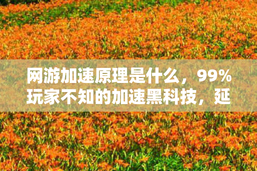 网游加速原理是什么,99%玩家不知的加速黑科技,延迟从300ms到20ms,竟撬动千亿级隐秘市场! 网游加速原理是什么,99%玩家不知的加速黑科技,延迟从300ms到20ms,竟撬动千亿级隐秘市场!