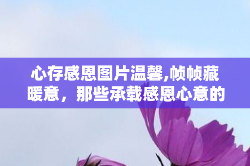 心存感恩图片温馨,帧帧藏暖意，那些承载感恩心意的日常画面