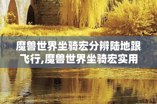 魔兽世界坐骑宏分辨陆地跟飞行,魔兽世界坐骑宏实用指南,一键适配全场景骑乘,告别繁琐操作 魔兽世界坐骑宏分辨陆地跟飞行,魔兽世界坐骑宏实用指南,一键适配全场景骑乘,告别繁琐操作