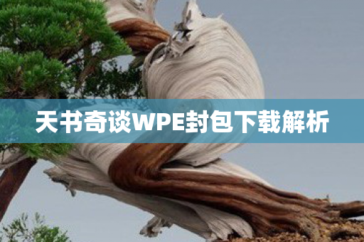 天书奇谈WPE封包下载解析图片