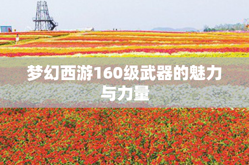 梦幻西游160级武器的魅力与力量图片