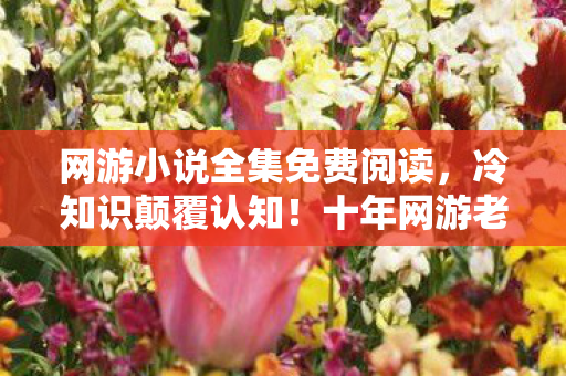 网游小说全集免费阅读,冷知识颠覆认知!十年网游老玩家竟被这些设定目瞪口呆 网游小说全集免费阅读,冷知识颠覆认知!十年网游老玩家竟被这些设定目瞪口呆
