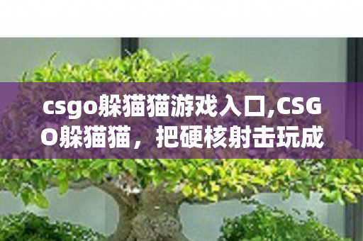 csgo躲猫猫游戏入口,CSGO躲猫猫，把硬核射击玩成欢乐整活派对的宝藏玩法